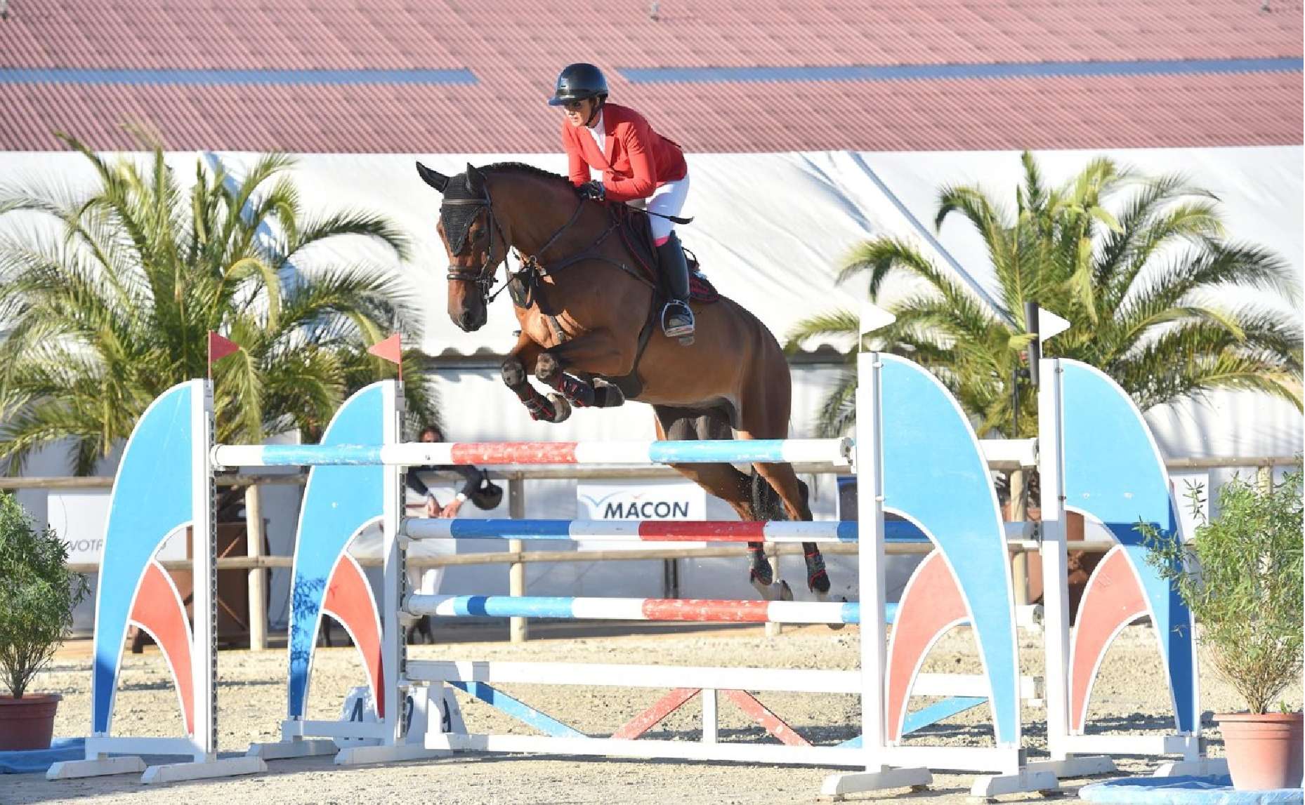 Quatoki E