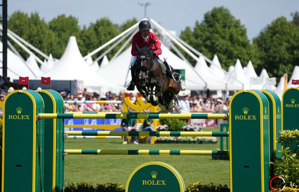 Aachen: Many top results at the most beautiful show in the world