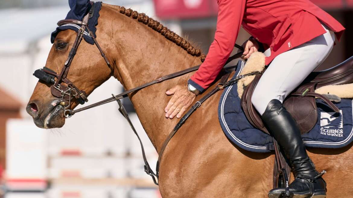 9. Platz für Chelsea Z im 5* Großen Preis von Riesenbeck